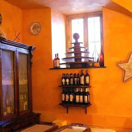 Mediterranee
