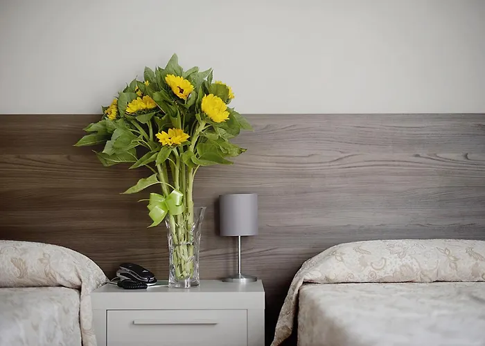 米迪特拉奈酒店 酒店