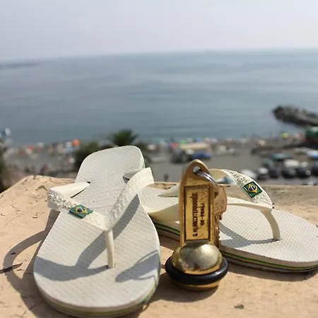 Mediterranee Janov